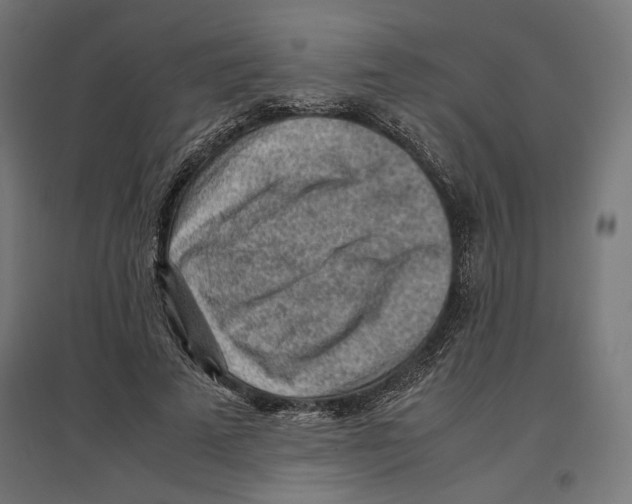 X0000096730689200803041223