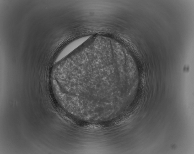 X0000096730691200803041223