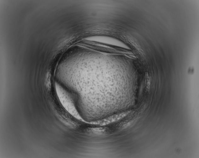 X0000096730692200803041223