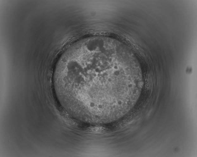 X0000096730695200803041223
