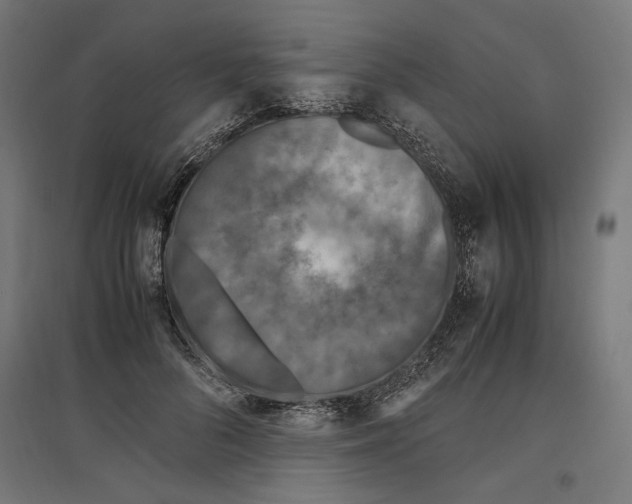 X0000096730696200803041223