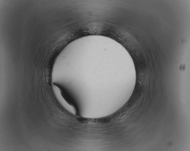 X0000096730697200803041223