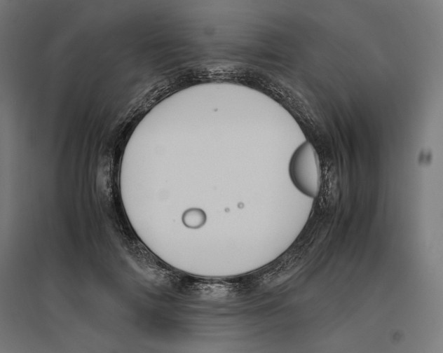 X0000096730698200803041223
