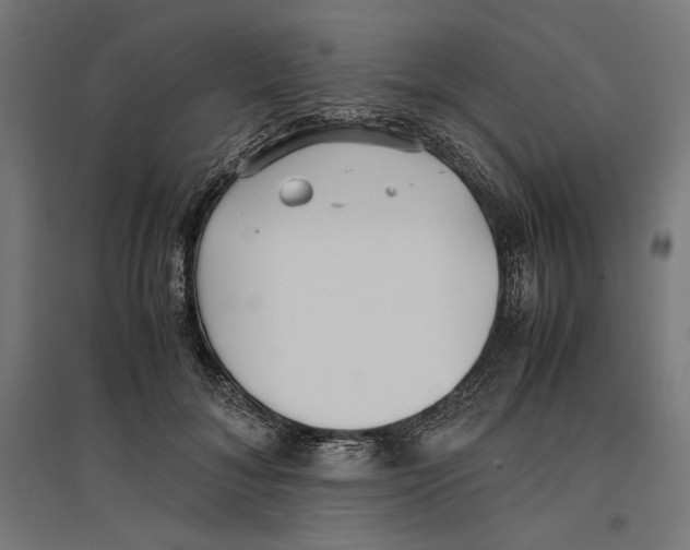 X0000096730700200803041223