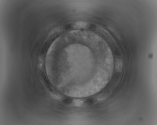 X0000096730701200803041223