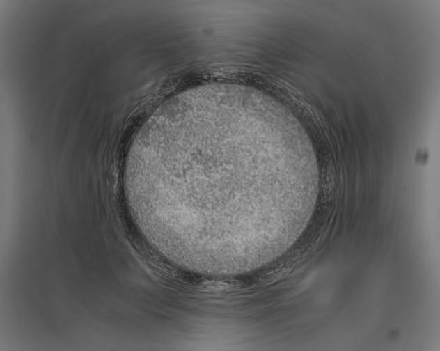 X0000096730703200803041223