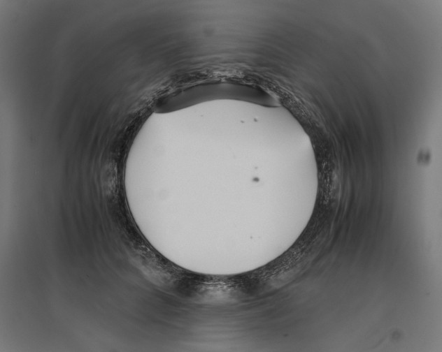 X0000096730704200803041223