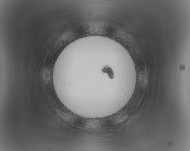 X0000096730705200803041223
