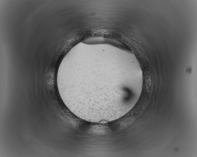 X0000096730708200803041223