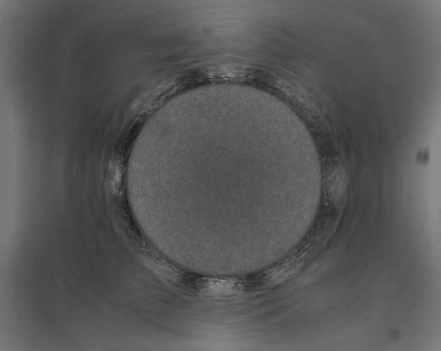 X0000096730709200803041223