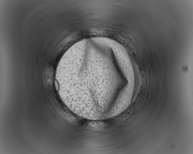 X0000096730712200803041223