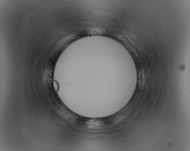 X0000096730714200803041223