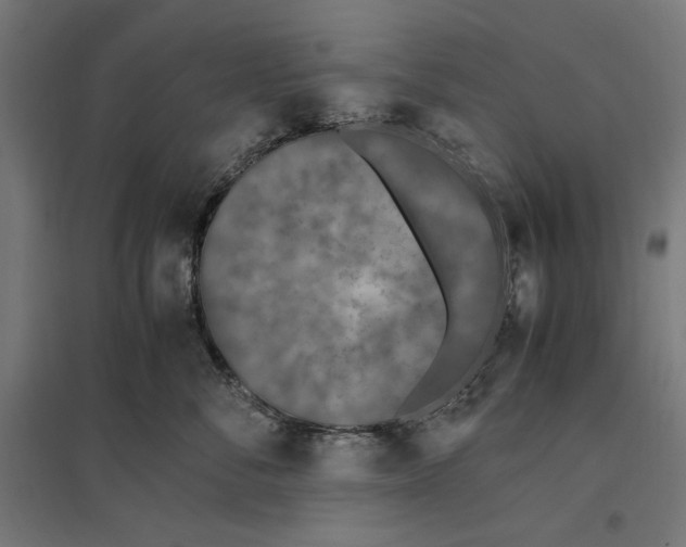 X0000096730716200803041223