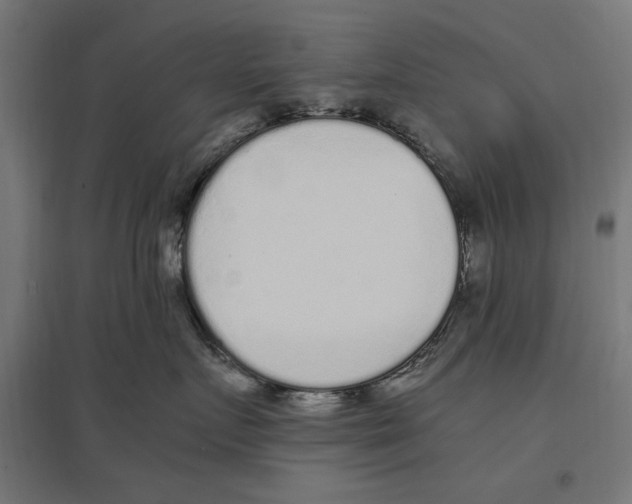 X0000096730719200803041223