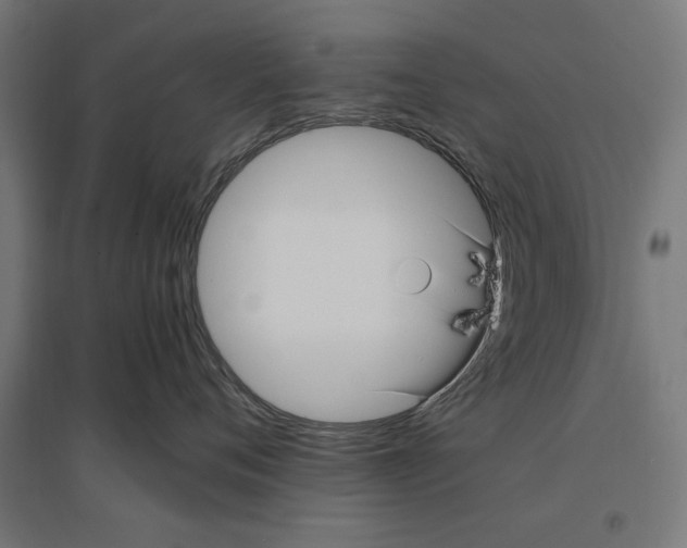 X0000096730720200803041223