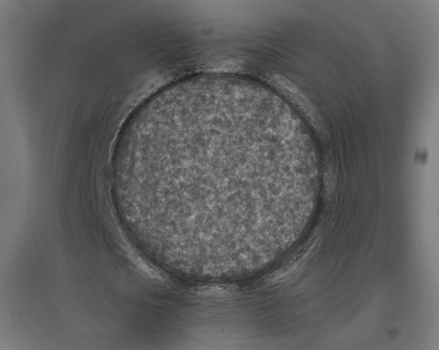 X0000096730721200803041222
