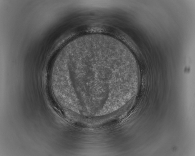 X0000096730722200803041222
