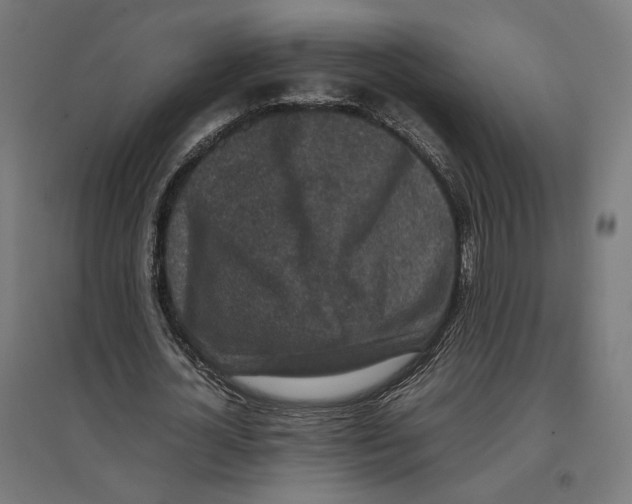 X0000096730724200803041222
