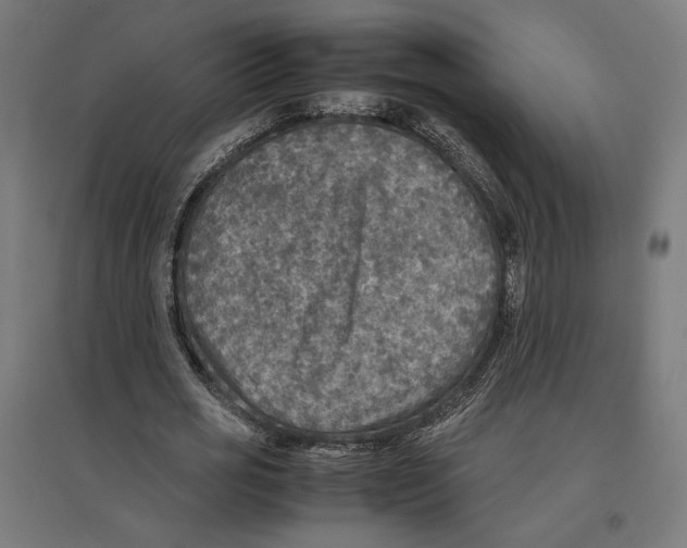 X0000096730725200803041222