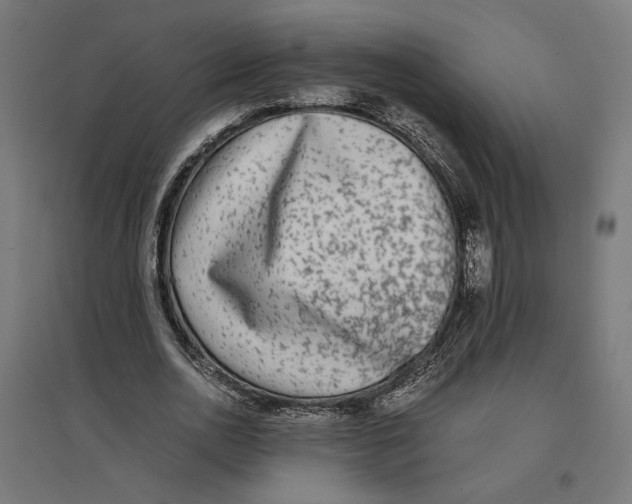 X0000096730726200803041222