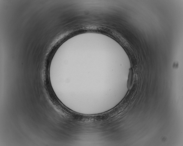 X0000096730728200803041222