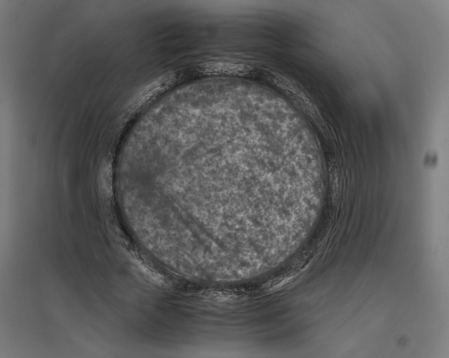 X0000096730729200803041222