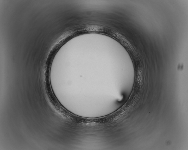 X0000096730730200803041222