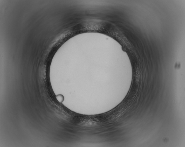 X0000096730731200803041222