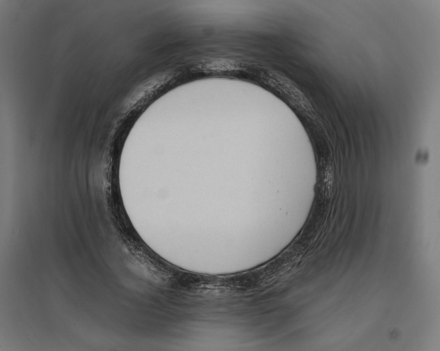 X0000096730732200803041222