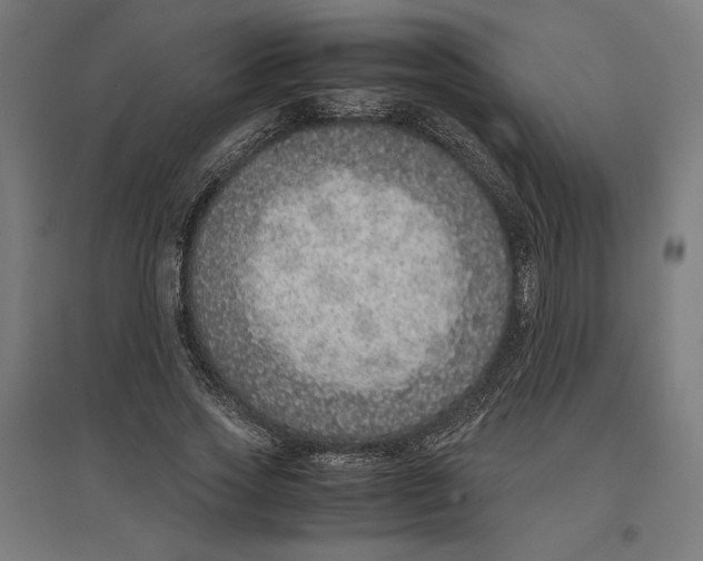 X0000096730733200803041222