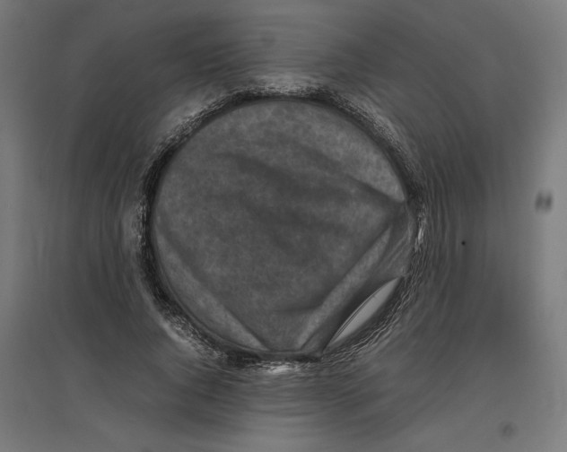 X0000096730736200803041222