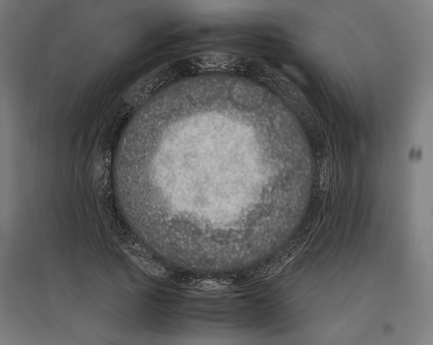 X0000096730737200803041222