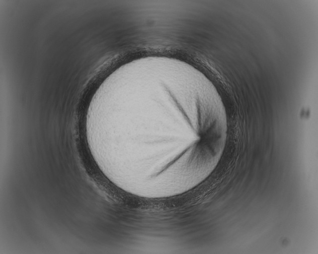 X0000096730738200803041222