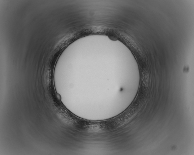 X0000096730740200803041222