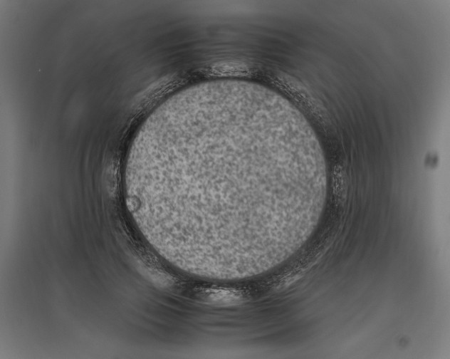 X0000096730741200803041222