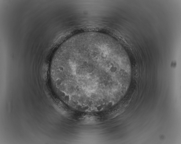 X0000096730742200803041222