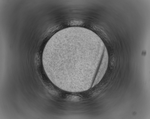 X0000096730743200803041222