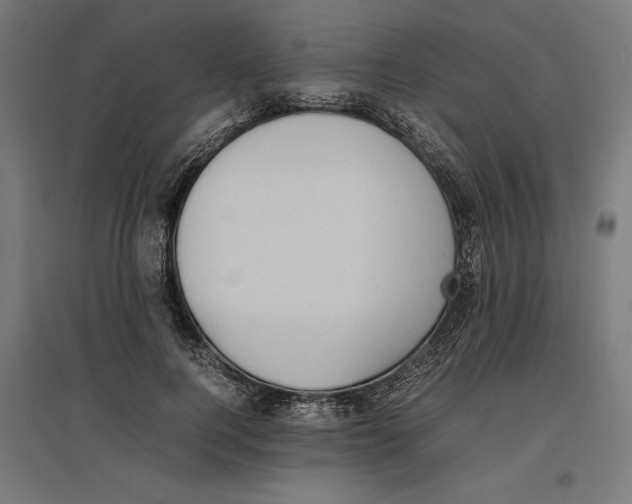 X0000096730744200803041222