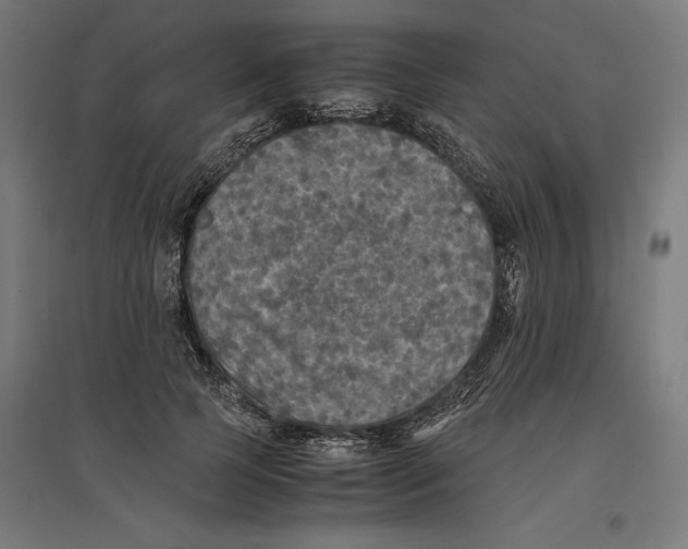 X0000096730745200803041222