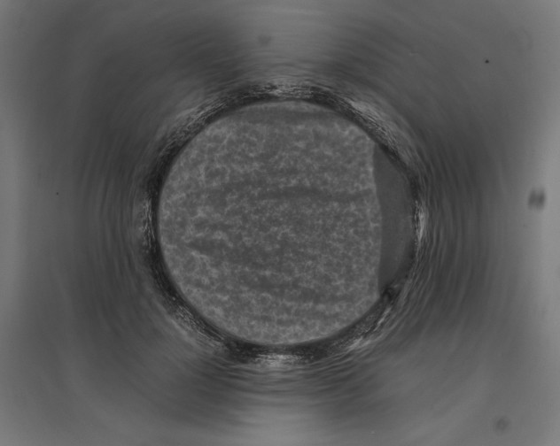 X0000096730748200803041222