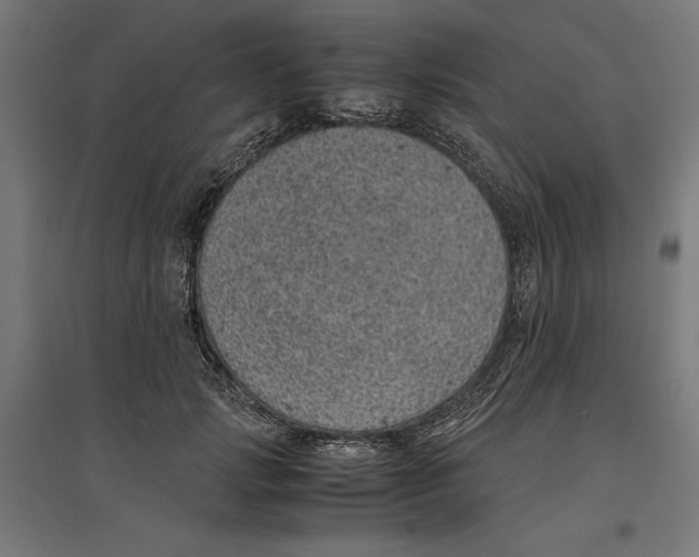 X0000096730749200803041222