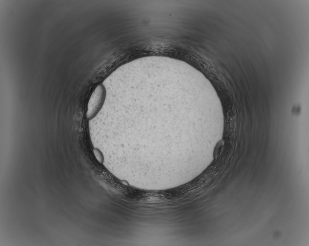 X0000096730750200803041222