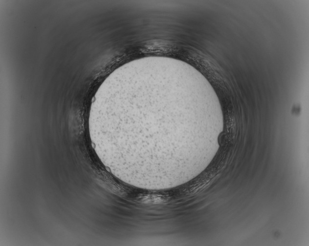 X0000096730751200803041222
