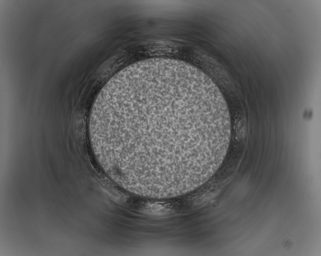 X0000096730753200803041222