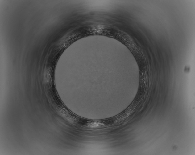 X0000096730754200803041222