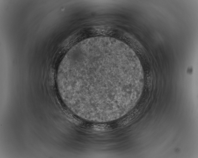 X0000096730757200803041222