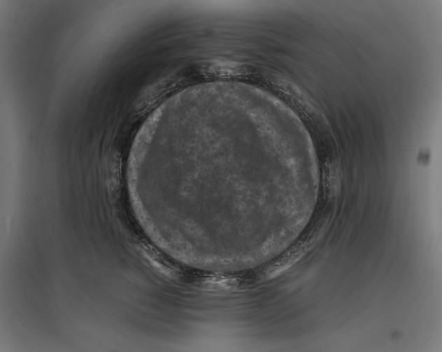 X0000096730760200803041222