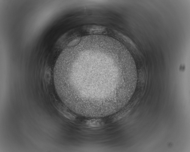 X0000096730761200803041222