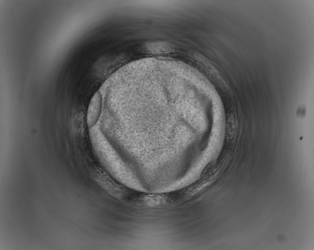 X0000096730762200803041222