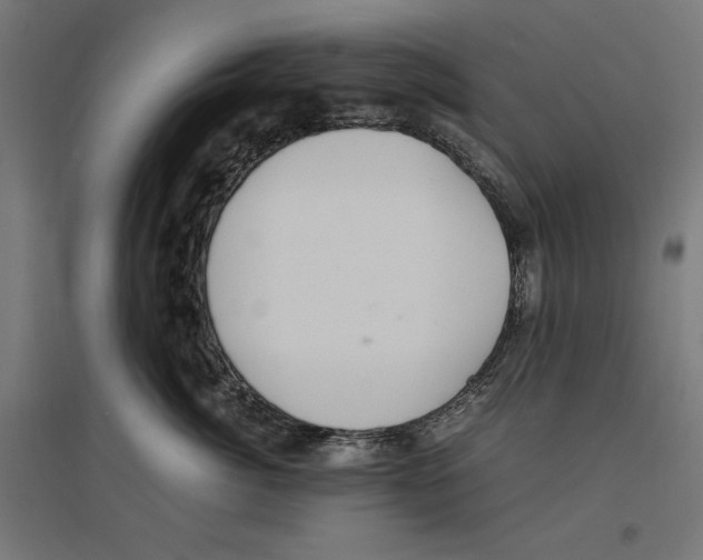 X0000096730764200803041223